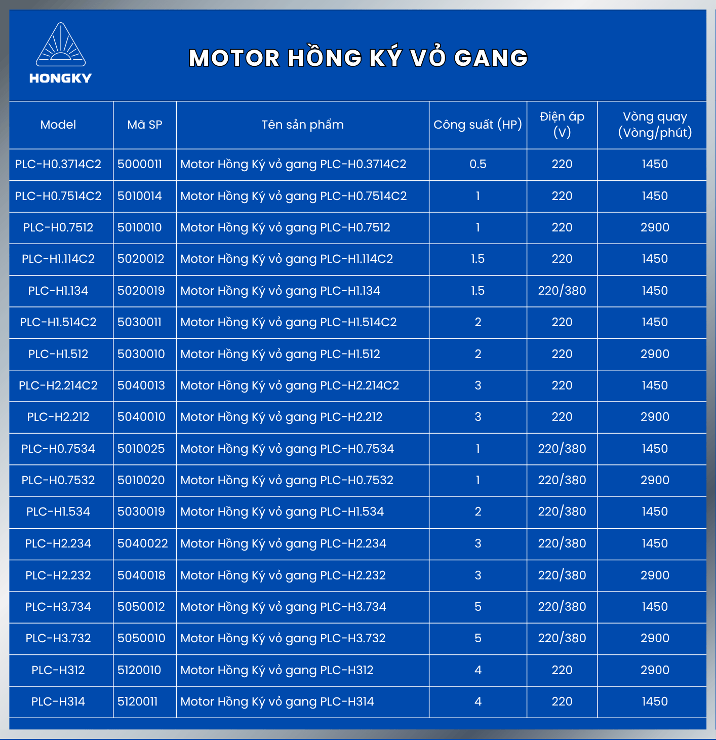 Các dòng động cơ điện vỏ gang Hồng Ký