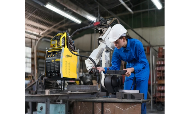 hop-tac-viet-duc-hong-ky